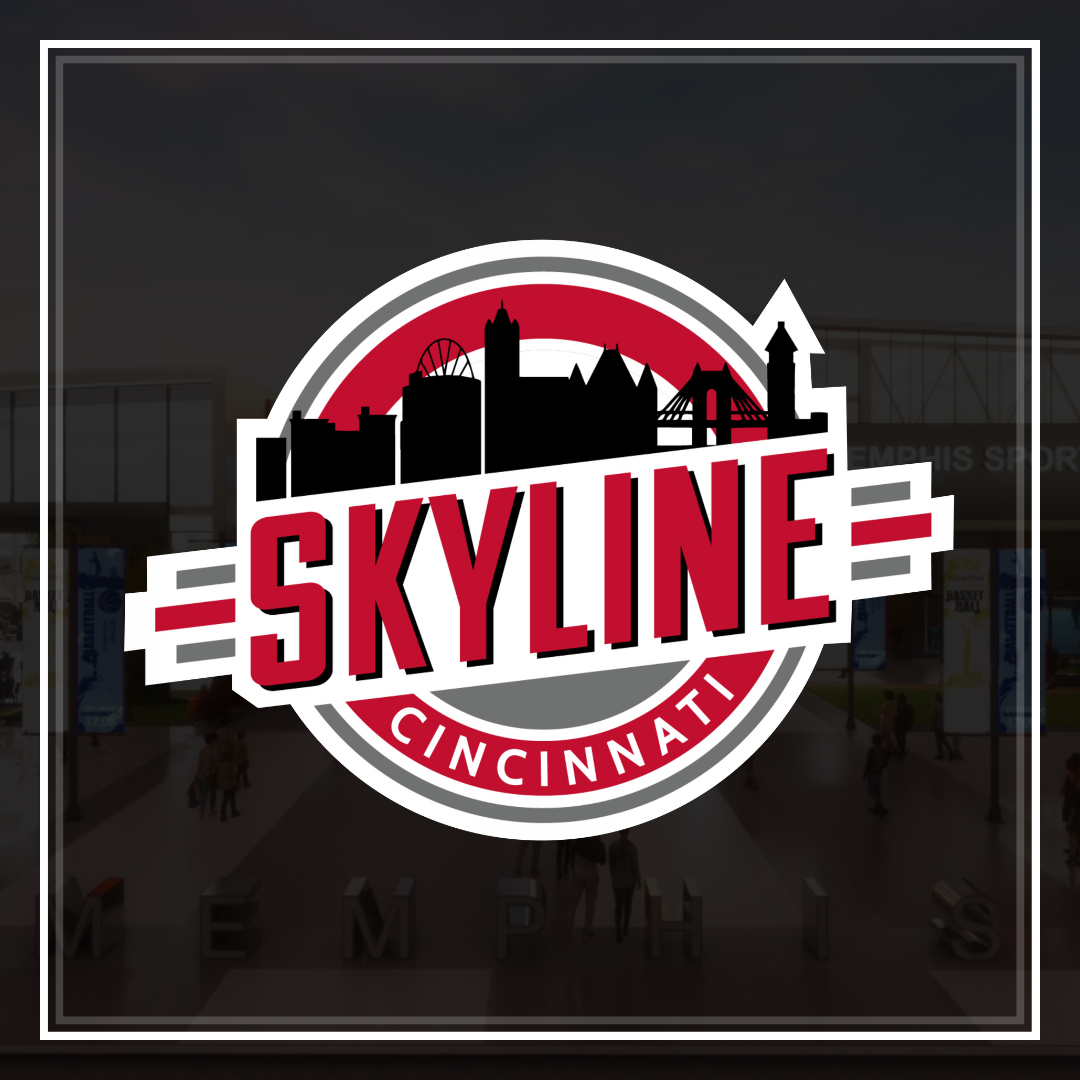 SKYLINE - Level 12 Sports